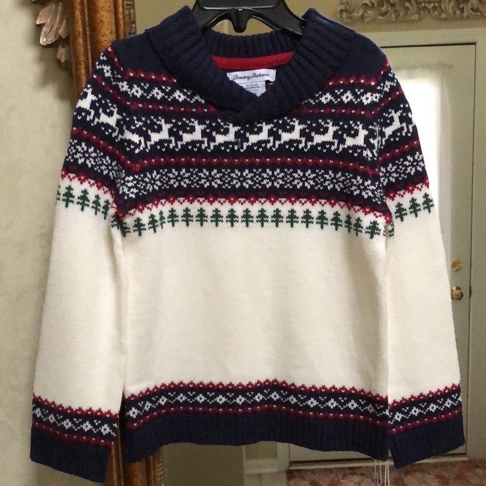 Cozy Holiday Knit Sweater for Kids